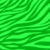 Green Zebra